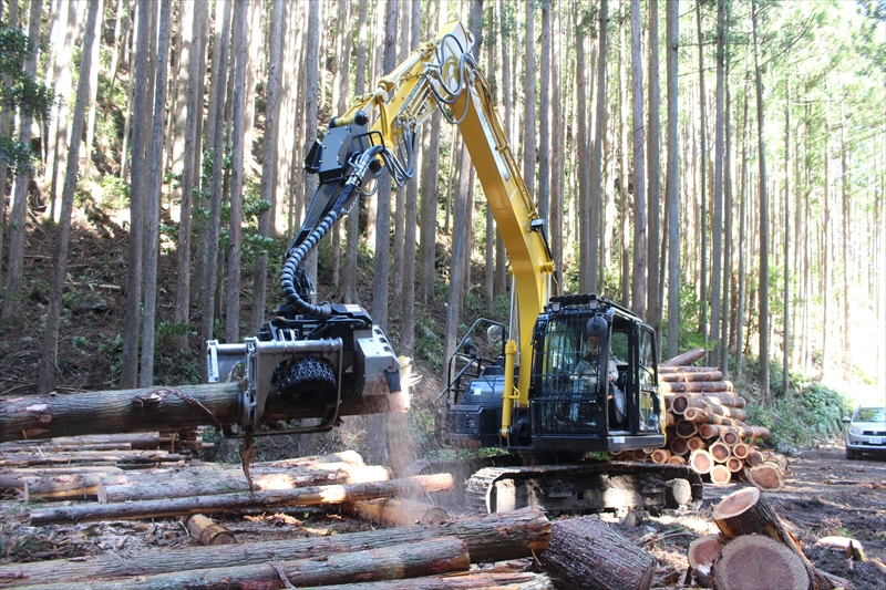 立木伐採・搬出等の仕事が中心！