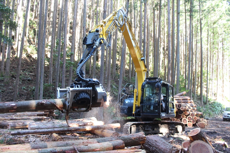 立木伐採・搬出作業・索道架設・山林の売買・森林作業道開設等の林業！