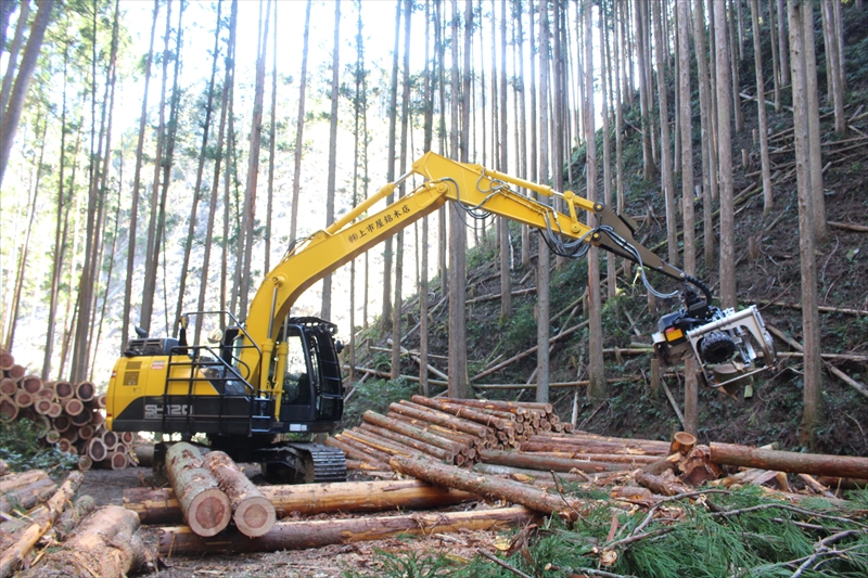 立木伐採・搬出作業・索道架設・山林の売買・森林作業道開設等の林業！